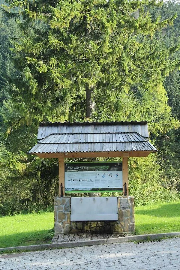 Bed & Breakfast Zajazd Gorski Kuznice Zakopane